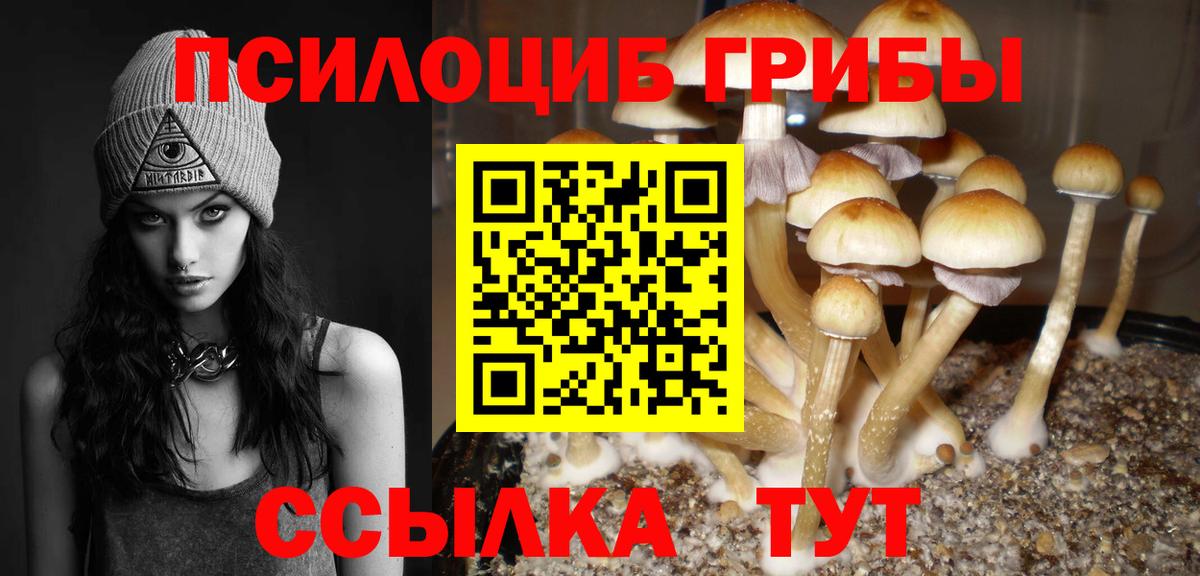 Галлюциногенные грибы Psilocybine cubensis Глазов