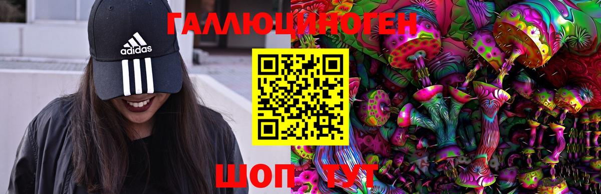 Глазов  Псилоцибиновые грибы Psilocybine cubensis  где найти наркотики  Вход с VPN 